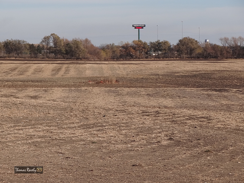 Proposed Road to Menards from JRMC   CSi photo
